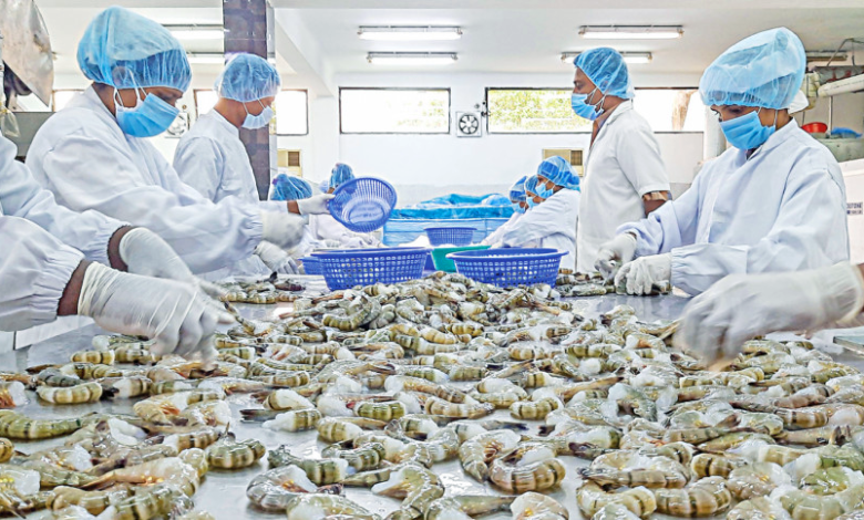 shrimp industry, workers in khulna bangladesh