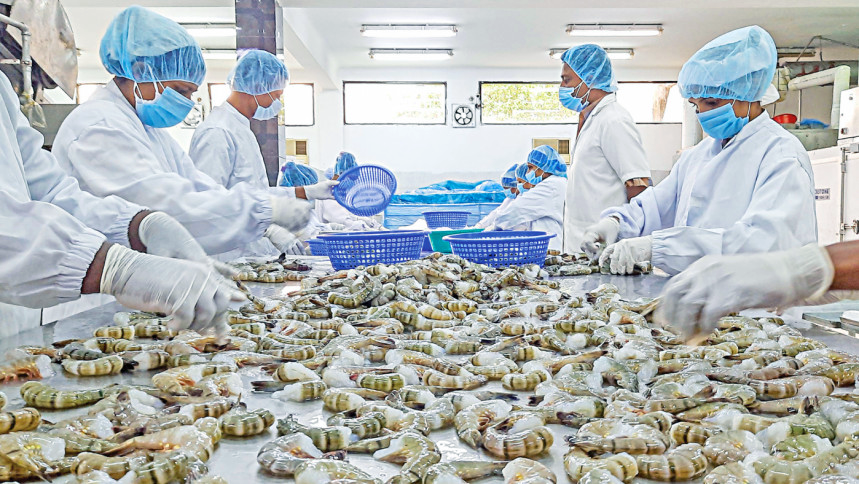 shrimp industry, workers in khulna bangladesh