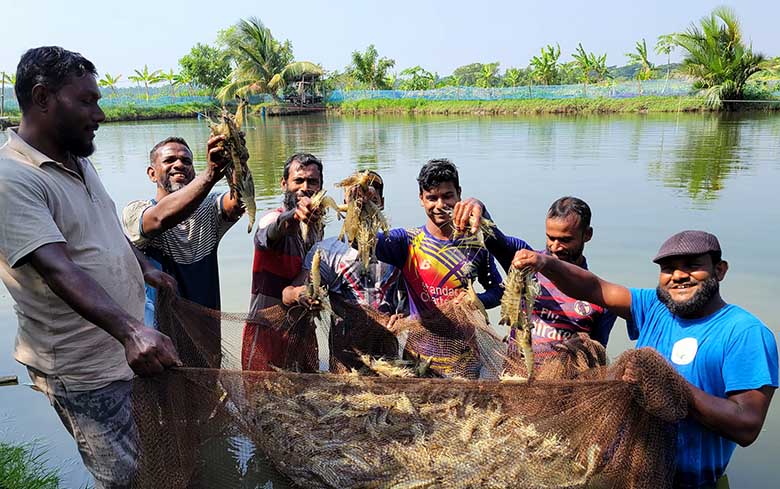 shrimp_farmers_of_safeti_project_in_bd