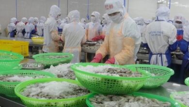 Vietnam shrimp processing plant