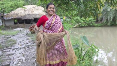 Woman harvesting shrimp from her pond in Khulna