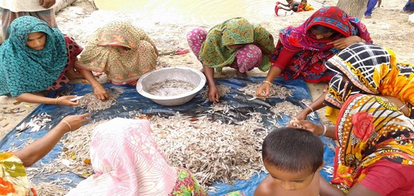 shrimp sector and empowerment of women in Bangladesh