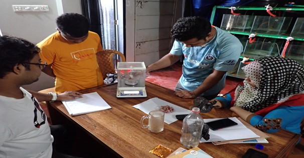 Young researchers are working on Polychaete in the lab