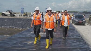 Indonesia building largest eco-friendly shrimp ponds