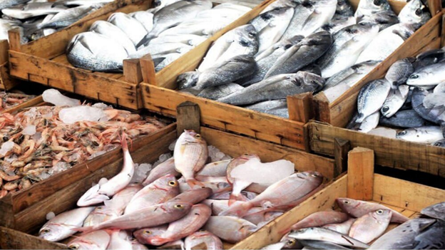 Iran seafood export hike