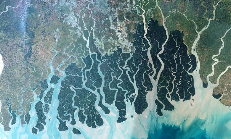 Estuary of Sunderbans