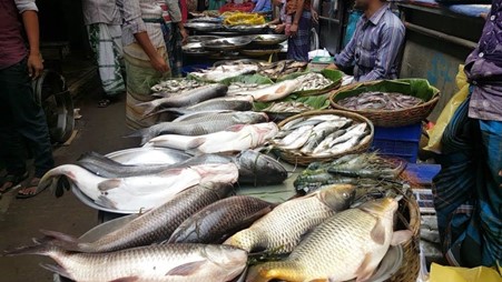 Jamai mela at gazipur dhaka