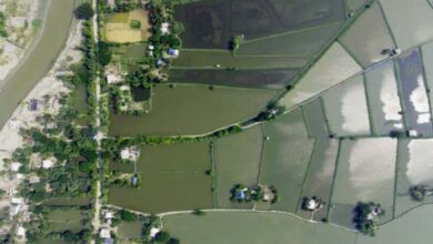 Black Tiger shrimp farm, close to Khulna.