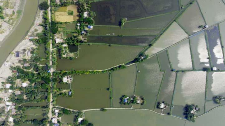 Black Tiger shrimp farm, close to Khulna.