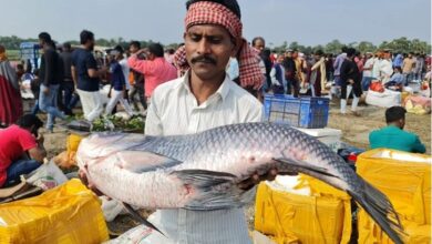 seller_holidng_a_katla_at_jamai_mela_gazipur