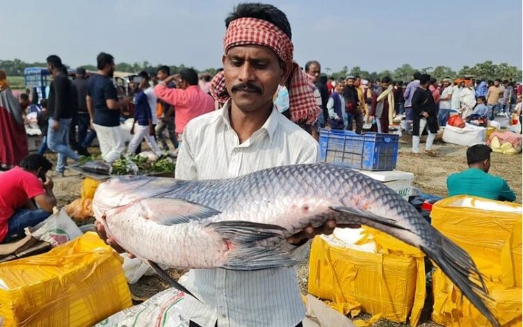 seller_holidng_a_katla_at_jamai_mela_gazipur