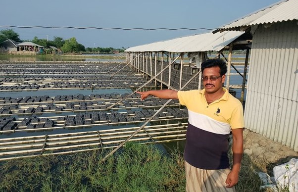 Soft shell crab farm in bangladesh