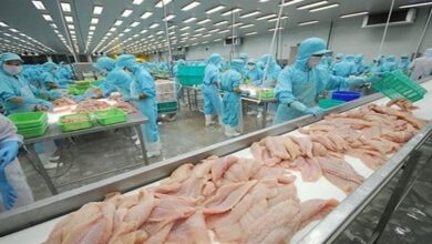 vietnam seafood export 2023