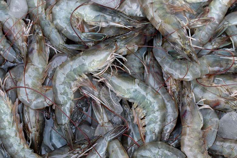 India seafood export top item