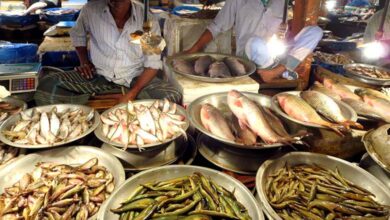 fisheries of bangladesh