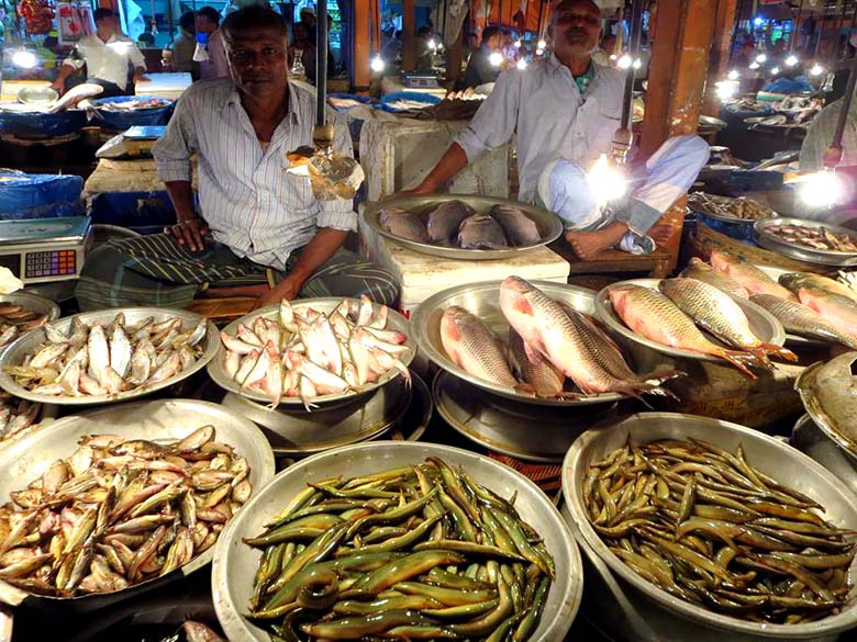 fisheries of bangladesh