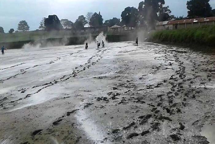 Liming the pond for aquaculture