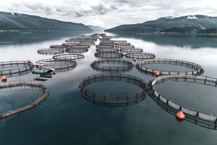 mariculture farm