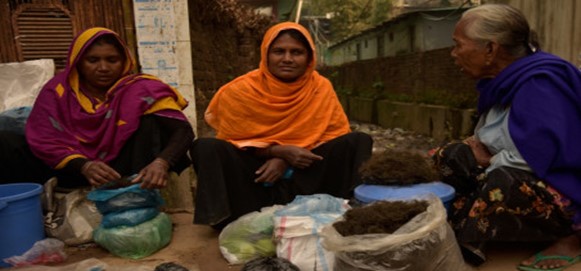 Women in Bangladesh selling seaweed in cox's bazaar