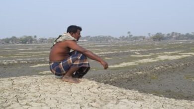 shrimp farmer bangladesh