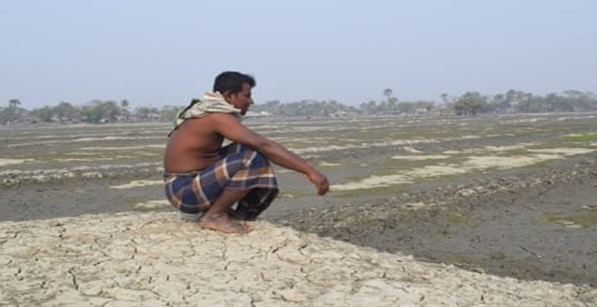 shrimp farmer bangladesh