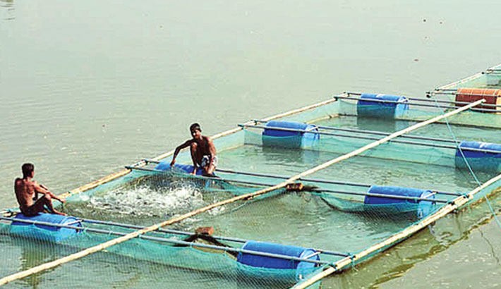 mariculture