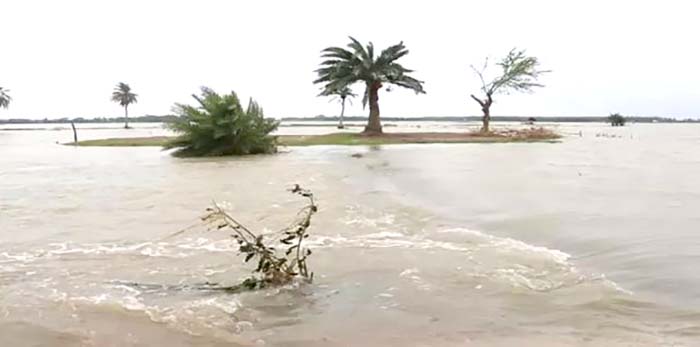 cyclone surges the flood and saline water intrusion in cultivating lands 