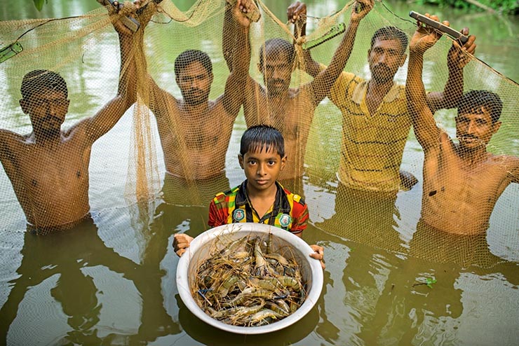 fish farmers usage antibiotic in bangladesh