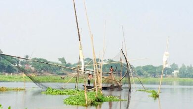 Community based fisheries management