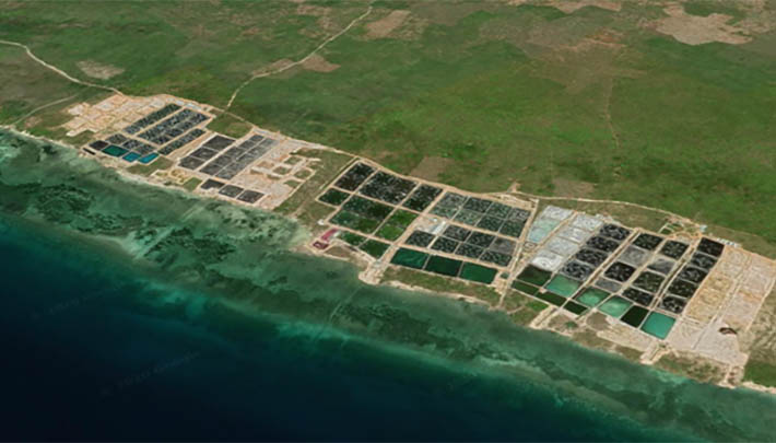 Indonesian shrimp farm