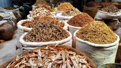 dry marine fish in Bangladesh