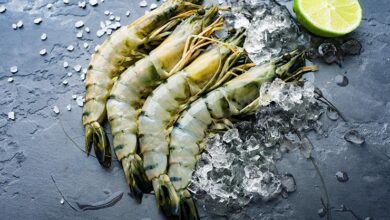 seafood blue food bangladesh