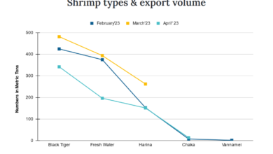 shrimp export khulna