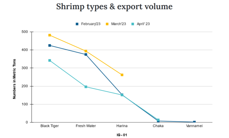 shrimp export khulna