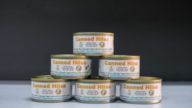 Canned Hilsa fish