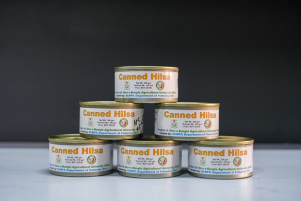 Canned Hilsa fish