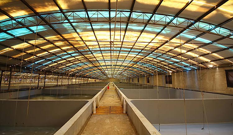 China inland and indoor seafood farm