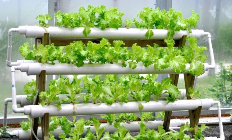 aquaponics system