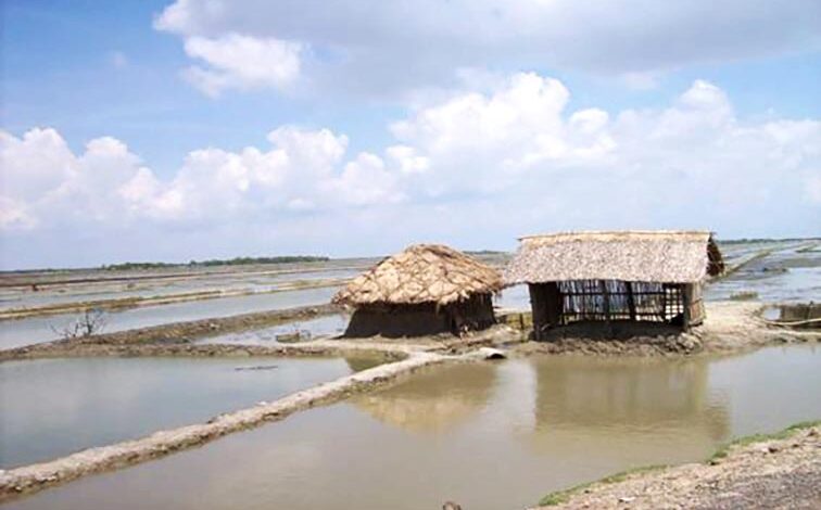 shrimp farm satkhira