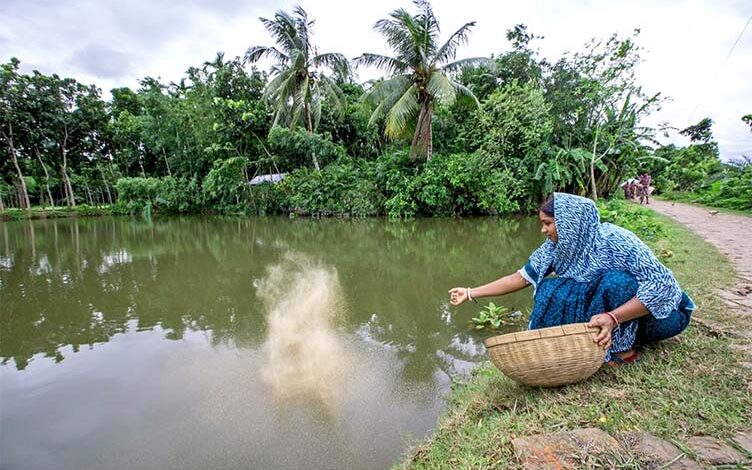 fish aquaculture