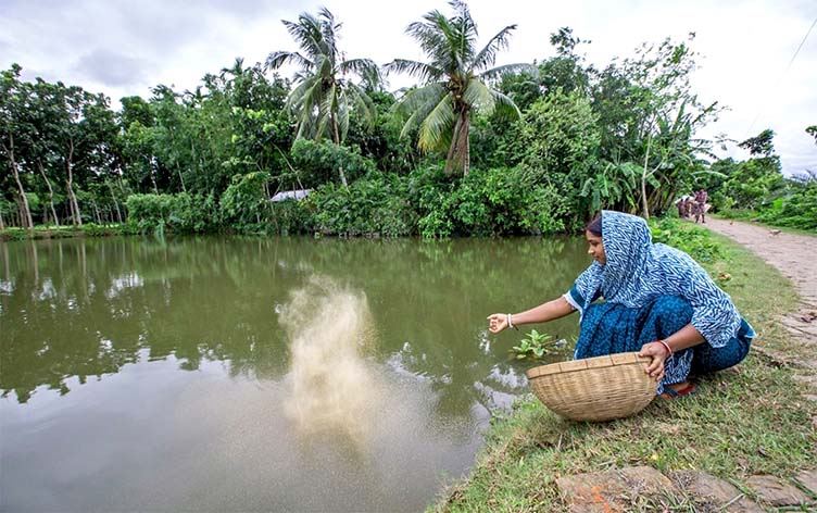 fish aquaculture