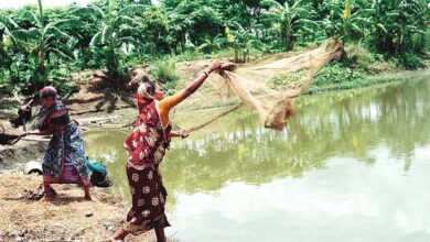 women in fisheries