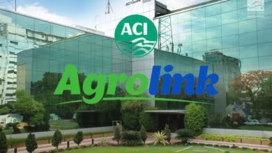 ACI Agrolink, ACI group