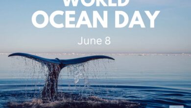 world ocean day