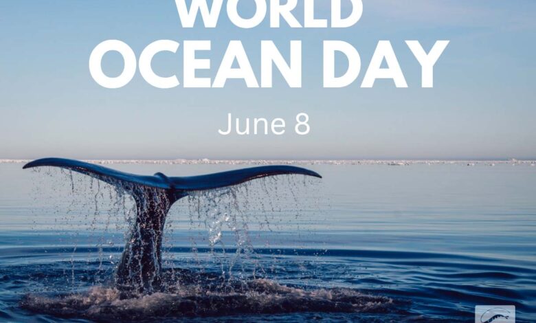 world ocean day