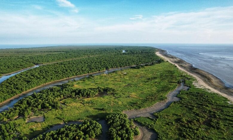 Sundarbans dublar char area.