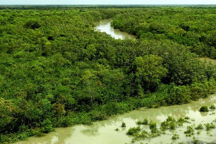 Creeks_restoration_of_the_sundarbans