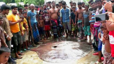 Stingray fish