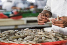 indian vannamei shrimp market