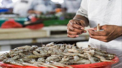 indian vannamei shrimp market